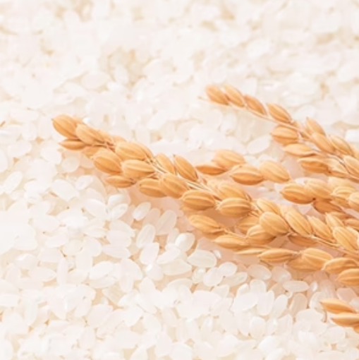 UC-II undenatured type 2 collagen